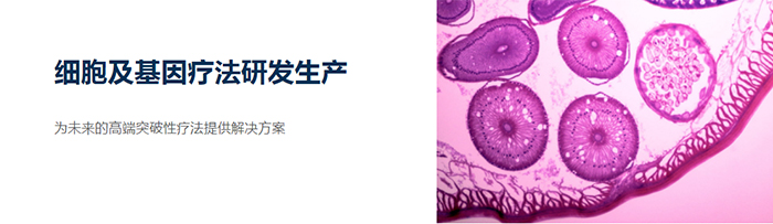 药明康德细胞及基因疗法,世邦大通战略咨询