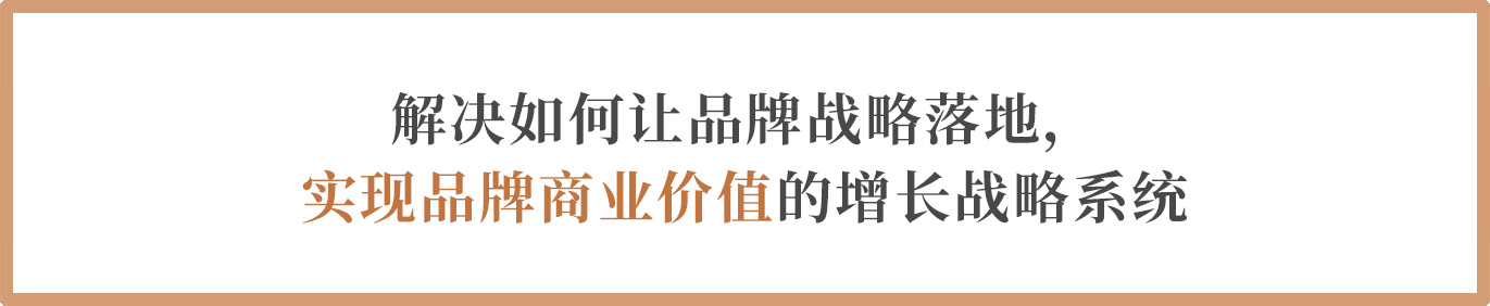 解决如何让品牌战略落地，实现品牌商业价值最大化的增长战略系统