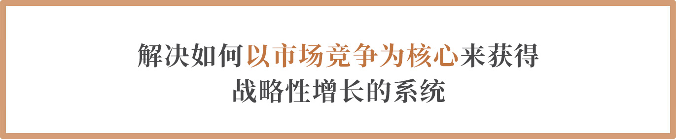 解决如何以市场竞争为核心来获得战略性增长的系统