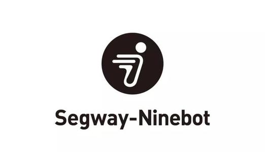 上海企业战略定位咨询公司专题-九号智能