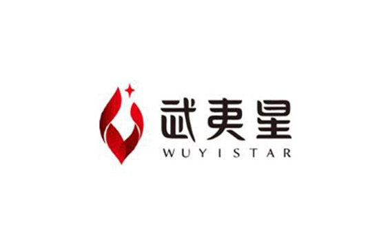 上海十大咨询公司排名榜上机构世邦大通-武夷星