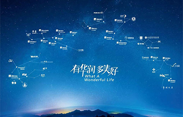 上海品牌策划公司有哪些，观察『华润集团』解读产业变革驱动