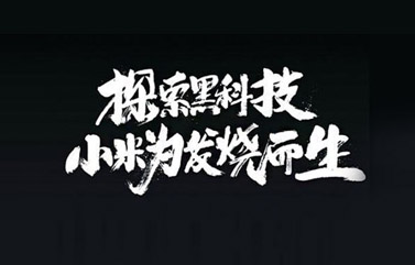 上海营销策划咨询公司解读小米系成功背后的秘诀