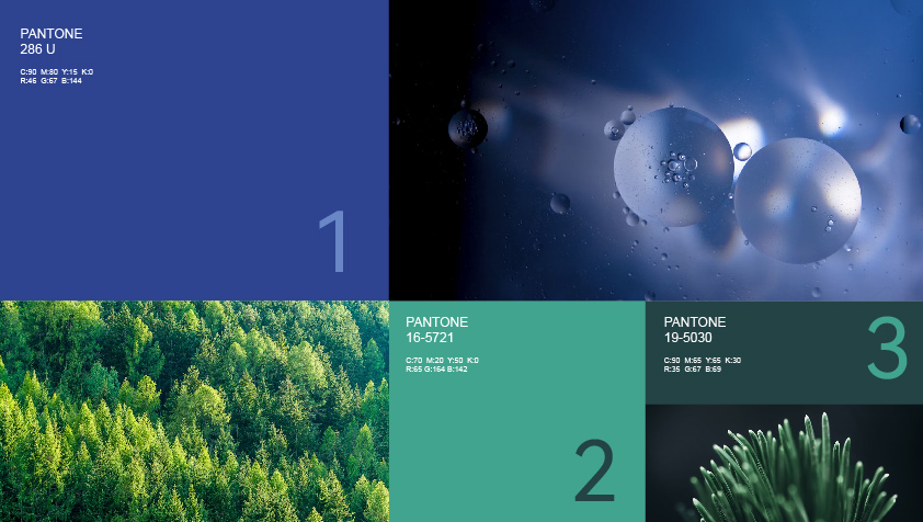 淳禧环保品牌升级-色彩标准化