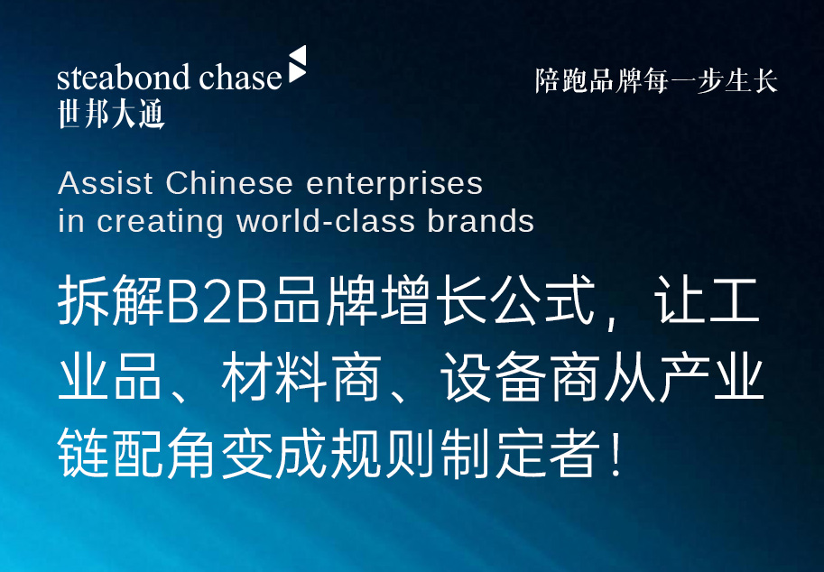 世邦大通科技品牌增长工式拆解