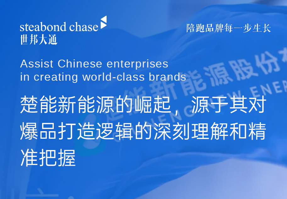 新能源品牌升级陪跑-世邦大通