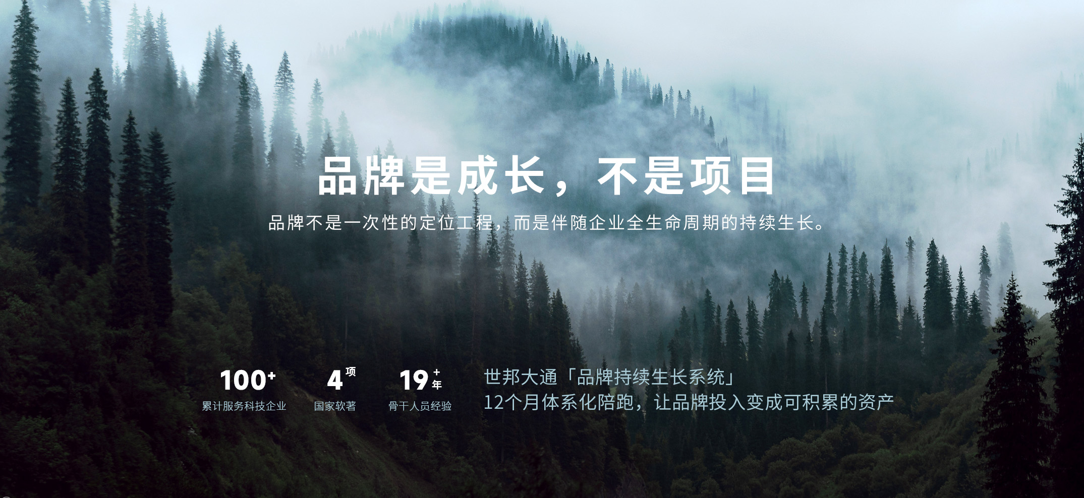 助力中国企业 打造世界品牌