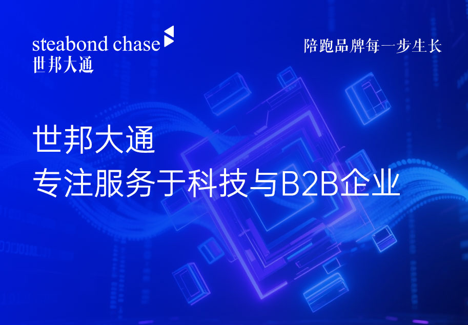 上海世邦大通科技企业品牌顾问