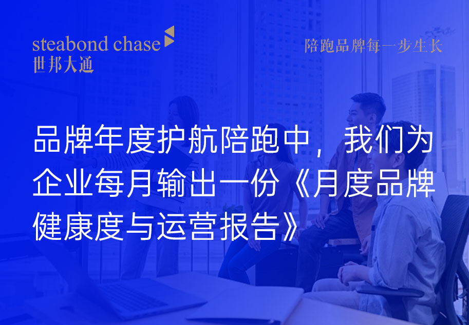 世邦大通为企业输出《月度品牌健康度与运营报告》