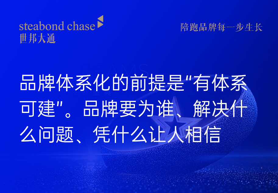 世邦大通一文讲通B2B企业的品牌体系化到底应该怎么做?