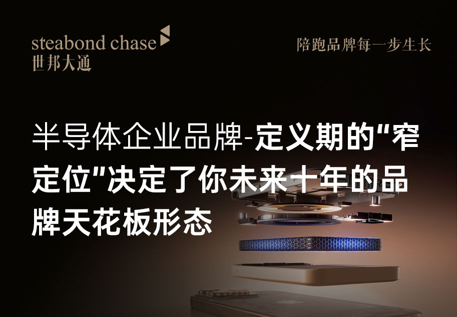 世邦大通半导体企业的品牌升级观点,您面临一个根本性的路径选择